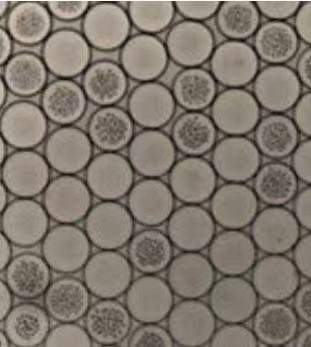 fluorosurfactant——1 g（undissolved or neat）