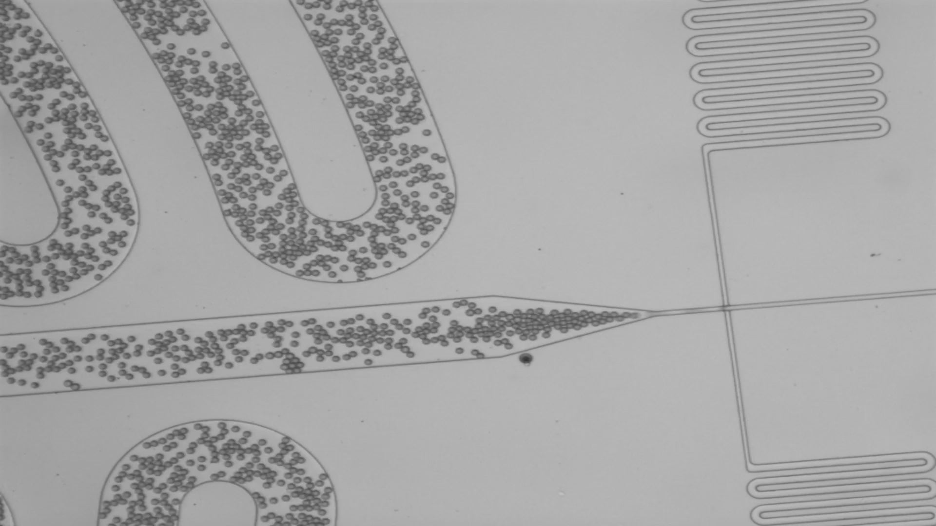 fluorosurfactant——1 g（undissolved or neat）