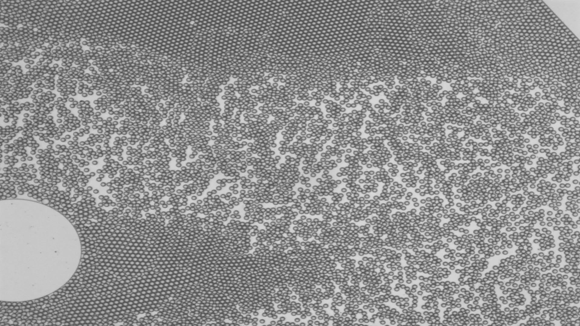 fluorosurfactant——1 g（undissolved or neat）